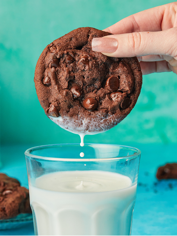 double chocolate cookie dunking in milk