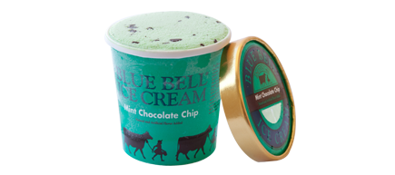 Mint Chocolate Chip Ice Cream